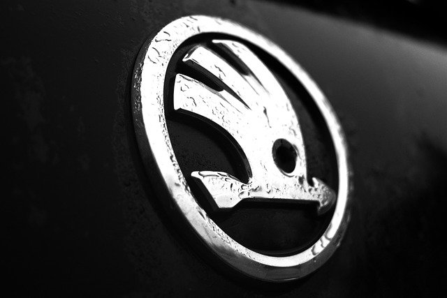logo škodovky